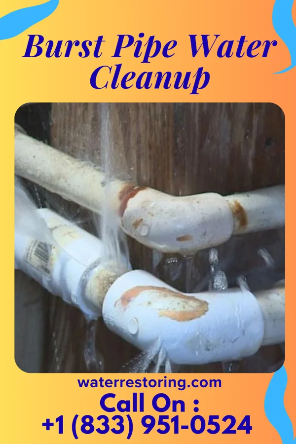 Burst Pipe Water Cleanup in Crestwood, MO