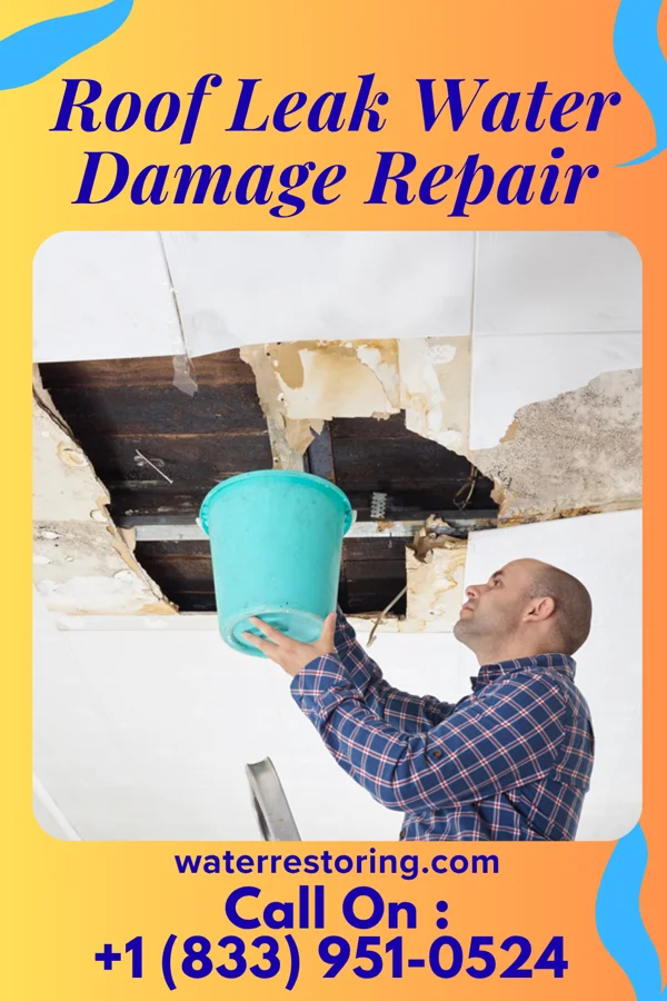 Roof Leak Water Damage Repair in Crestwood, MO