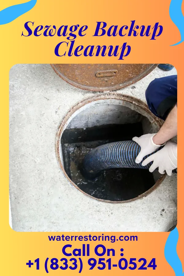 Sewage Backup Cleanup in Crestwood, MO