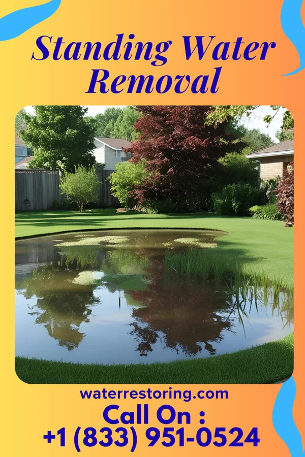 Standing Water Removal in Crestwood, MO